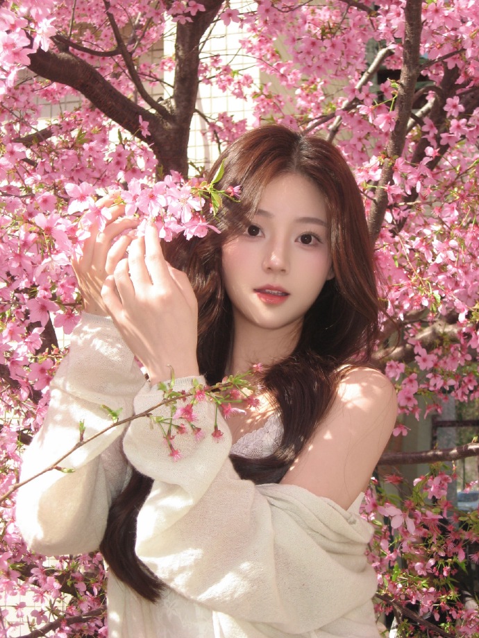 对SEO黑帽技术的风险分析