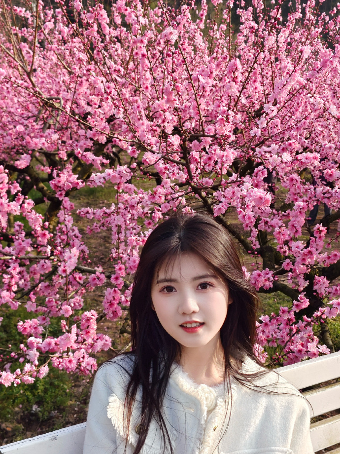 在泛解析中的实战价值