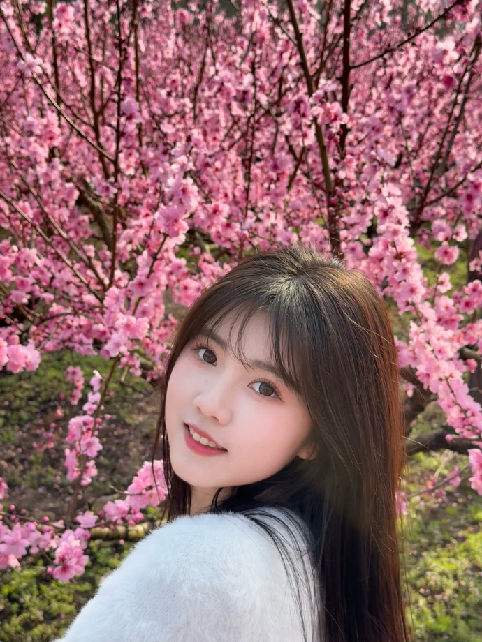 的分布式架构实现方案