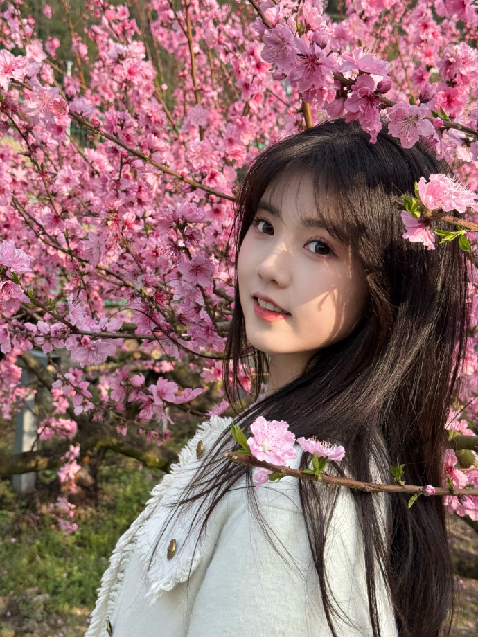 能否提升收录质量？